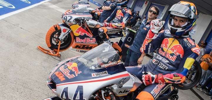 Nicolas Hernandez Red Bull