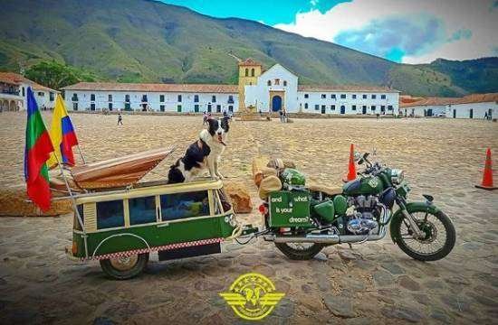 travel el perro viajero