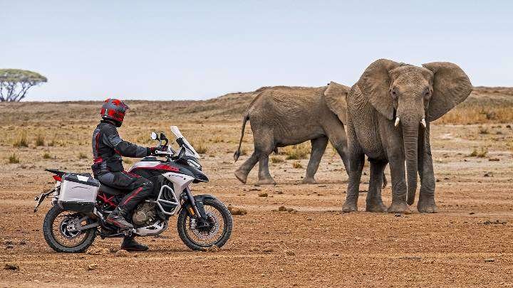 Multistrada V4 Rally