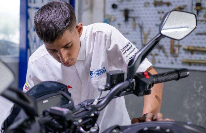 La importancia de un mecánico especializado