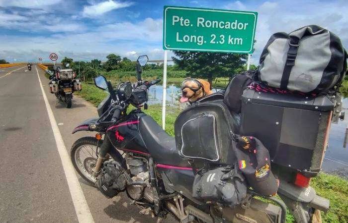 Tomy el perro motoviajero